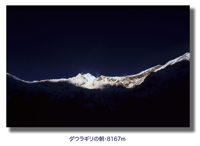 ダウラギリの朝・8167m