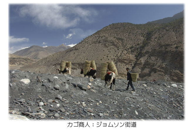 カゴ商人：ジョムソン街道