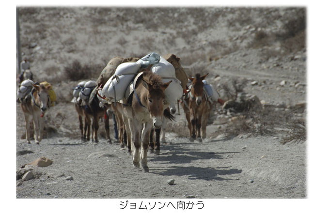 ジョムソンへ向かう